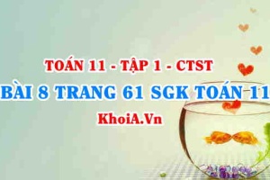 Bài 8 trang 61 SGK Toán 11 Tập 1 Chân trời sáng tạo